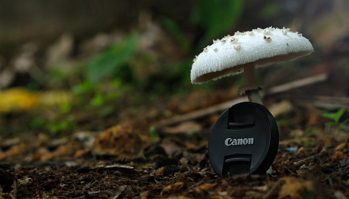 灵壁最新疫情：全面揭秘，掌握最新动态，为你的健康保驾护航