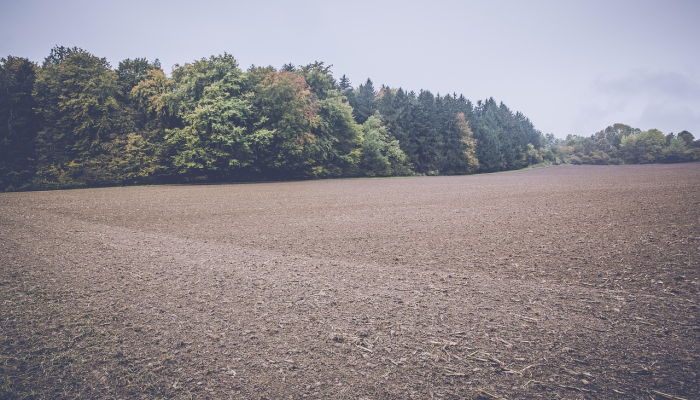 辽体疫情最新：精准防控与健康生活的双赢之道