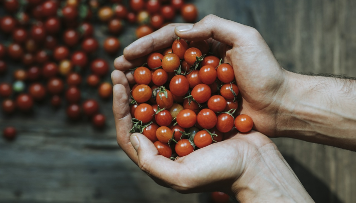 湖北望城疫情最新：全面回顾与未来展望