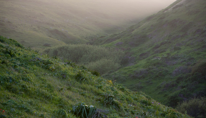 陈溪疫情最新：保护健康，共筑安全