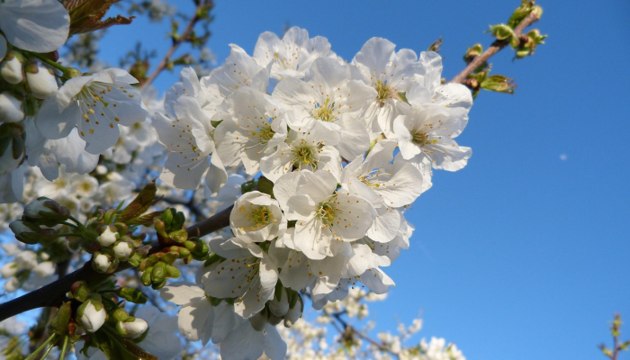 最新日照疫情来源哪里：深入探讨与科学防控策略