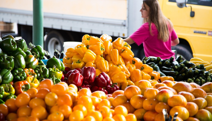 崂山科大疫情最新消息：保护与希望的交汇