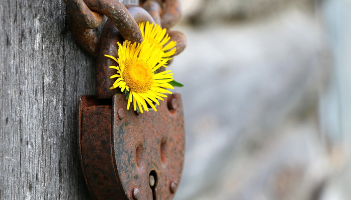 贵州疫情最新动态：紧密关注健康安全，携手共建美好未来