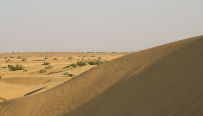 阿斯特湖疫情最新：全球关注的焦点