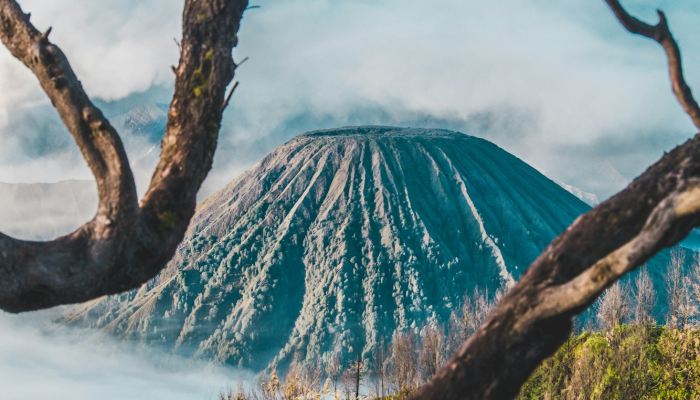 延安防控最新通报疫情 延安防控最新通报疫情