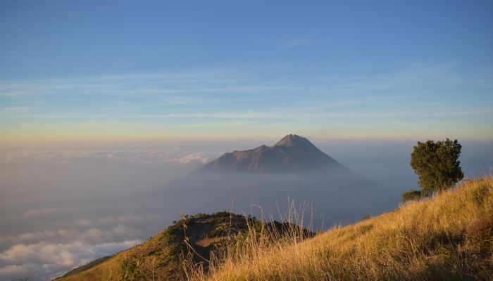 太白区疫情最新通报图:全面了解疫情最新动态,保障您的健康安全 太白区疫情最新通报图:全面了解疫情最新动态,保障您的健康安全