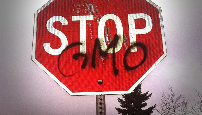 德国最新消息疫情:全球健康战线的先锋 德国最新消息疫情:全球健康战线的先锋