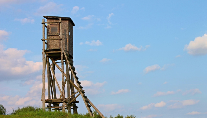 上海疫情路径最新:实时跟踪与未来展望 上海疫情路径最新:实时跟踪与未来展望