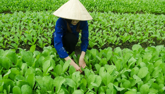 航院疫情最新:最新动态与科研进展 航院疫情最新:最新动态与科研进展