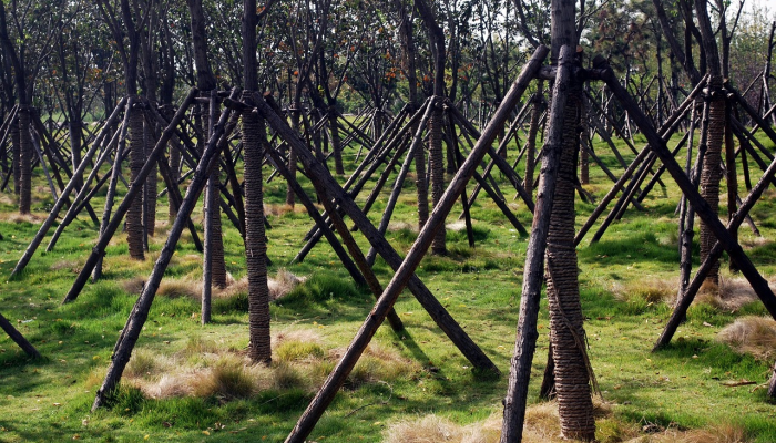 女篮疫情最新通报：新时代的挑战与希望