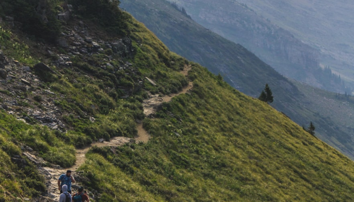 麻城最新疫情旅游:重启安全健康的探险之旅 麻城最新疫情旅游:重启安全健康的探险之旅