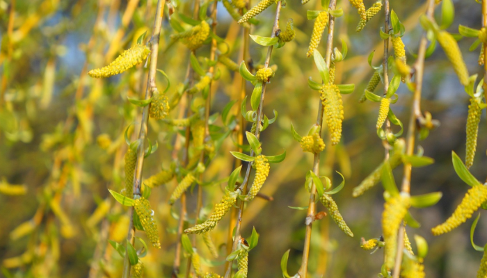 疫情最新各地:全球健康动态分析 疫情最新各地:全球健康动态分析