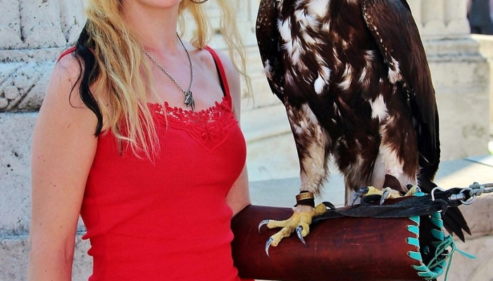 金国疫情深圳最新消息:最新动态与应对策略解读 金国疫情深圳最新消息:最新动态与应对策略解读