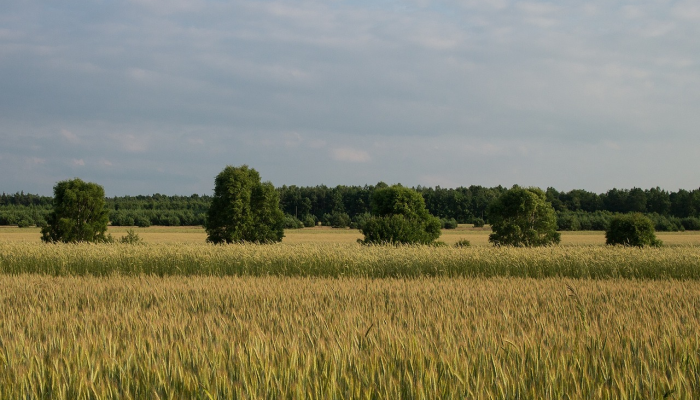 疫情最新宣传报道:科学抗疫,携手共赢 疫情最新宣传报道:科学抗疫,携手共赢