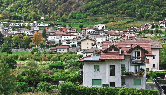 龙头村疫情最新：全村聚焦防疫与生活